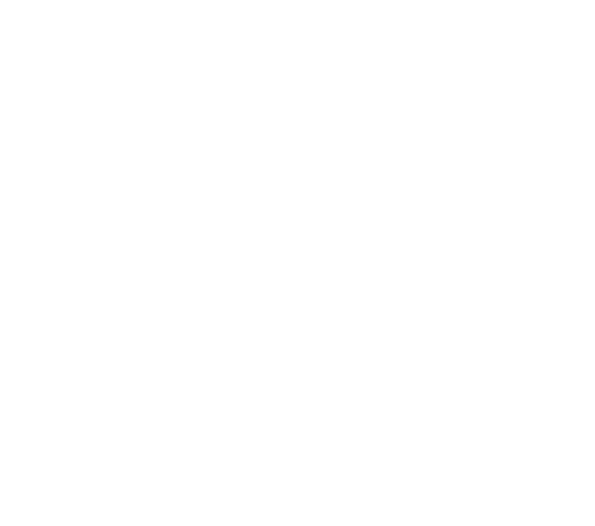 Logo Assemblée Nationale de couleur blanche