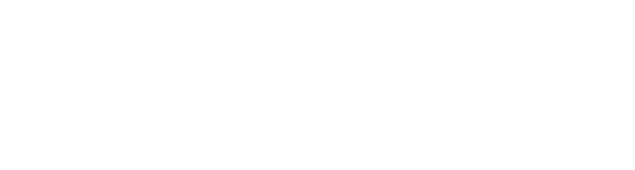 Pôle de Santé du Plateau - LOGO BLANC