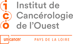 logo ico